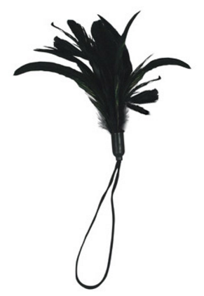 Adult Product 18+ - Sportsheets Pleasure Feather - Black - Sportsheets - Sportsheets - KS Store